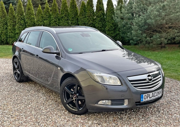 Opel Insignia cena 23900 przebieg: 252000, rok produkcji 2012 z Połaniec małe 191